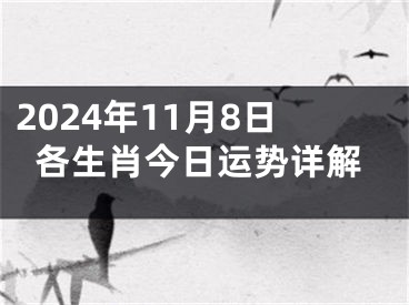 2024年11月8日各生肖今日运势详解