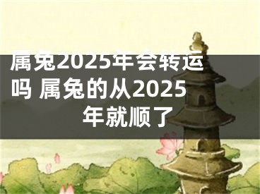 属兔2025年会转运吗 属兔的从2025年就顺了
