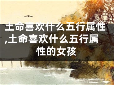 土命喜欢什么五行属性,土命喜欢什么五行属性的女孩