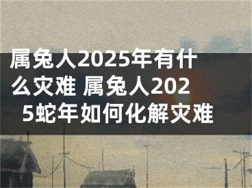 属兔人2025年有什么灾难 属兔人2025蛇年如何化解灾难