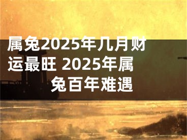 属兔2025年几月财运最旺 2025年属兔百年难遇