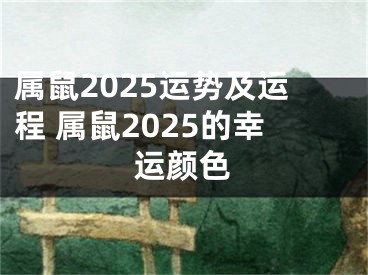 属鼠2025运势及运程 属鼠2025的幸运颜色