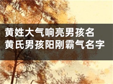黄姓大气响亮男孩名 黄氏男孩阳刚霸气名字