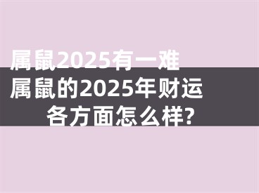 属鼠2025有一难 属鼠的2025年财运各方面怎么样?