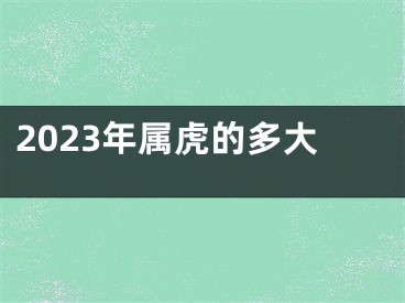 2023年属虎的多大