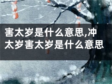 害太岁是什么意思,冲太岁害太岁是什么意思