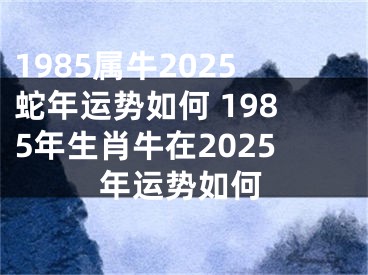 1985属牛2025蛇年运势如何 1985年生肖牛在2025年运势如何
