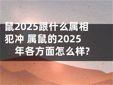 鼠2025跟什么属相犯冲 属鼠的2025年各方面怎么样?