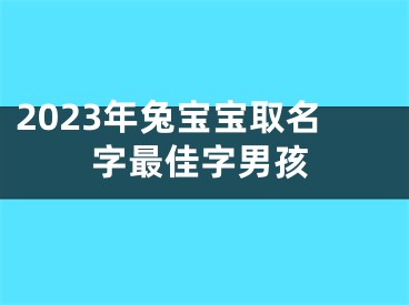 2023年兔宝宝取名字最佳字男孩