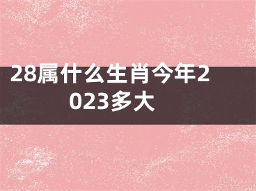 28属什么生肖今年2023多大