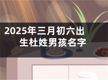 2025年三月初六出生杜姓男孩名字
