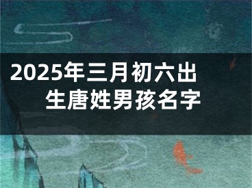 2025年三月初六出生唐姓男孩名字