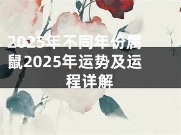 2025年不同年份属鼠2025年运势及运程详解