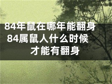 84年鼠在哪年能翻身 84属鼠人什么时候才能有翻身