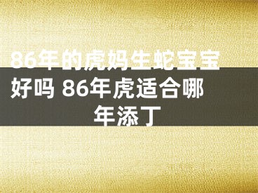 86年的虎妈生蛇宝宝好吗 86年虎适合哪年添丁
