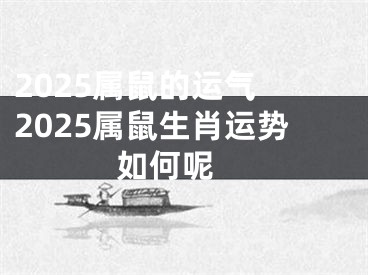 2025属鼠的运气 2025属鼠生肖运势如何呢 