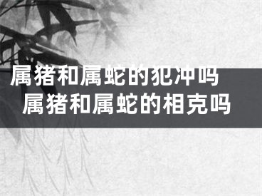 属猪和属蛇的犯冲吗 属猪和属蛇的相克吗