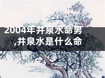2004年井泉水命男,井泉水是什么命