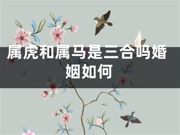 属虎和属马是三合吗婚姻如何