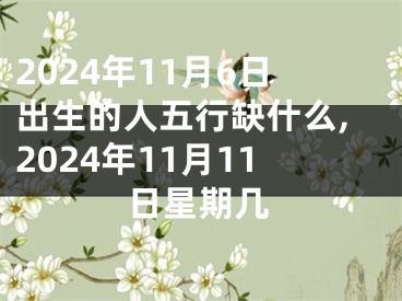 2024年11月6日出生的人五行缺什么,2024年11月11日星期几