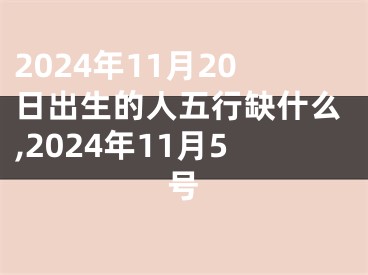 2024年11月20日出生的人五行缺什么,2024年11月5号