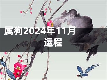 属狗2024年11月运程