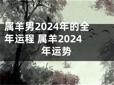 属羊男2024年的全年运程 属羊2024年运势