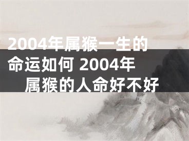 2004年属猴一生的命运如何 2004年属猴的人命好不好