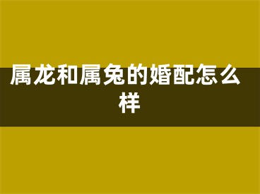 属龙和属兔的婚配怎么样