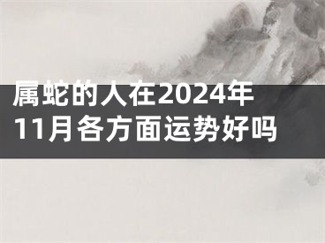 属蛇的人在2024年11月各方面运势好吗