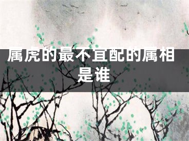 属虎的最不宜配的属相是谁