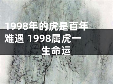 1998年的虎是百年难遇 1998属虎一生命运