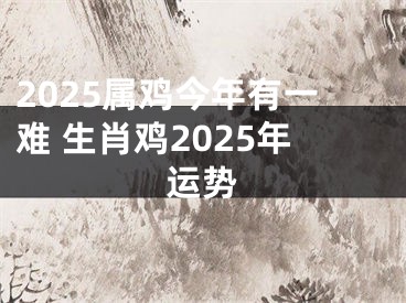 2025属鸡今年有一难 生肖鸡2025年运势