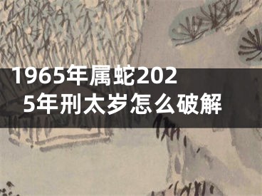 1965年属蛇2025年刑太岁怎么破解