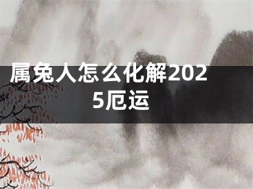 属兔人怎么化解2025厄运