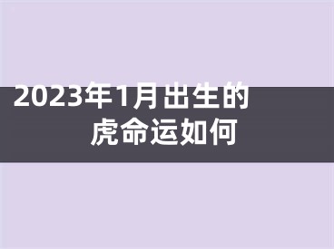 2023年1月出生的虎命运如何