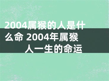 2004属猴的人是什么命 2004年属猴人一生的命运