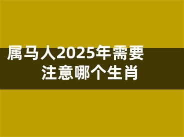 属马人2025年需要注意哪个生肖