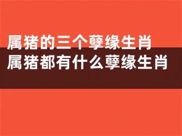 属猪的三个孽缘生肖 属猪都有什么孽缘生肖 
