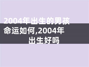 2004年出生的男孩命运如何,2004年出生好吗