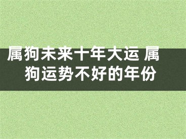 属狗未来十年大运 属狗运势不好的年份