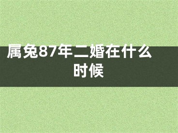 属兔87年二婚在什么时候
