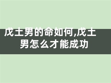 戊土男的命如何,戊土男怎么才能成功