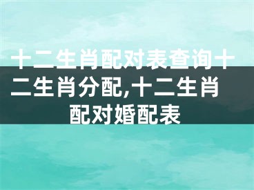 十二生肖配对表查询十二生肖分配,十二生肖配对婚配表