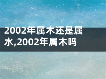 2002年属木还是属水,2002年属木吗