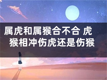 属虎和属猴合不合 虎猴相冲伤虎还是伤猴