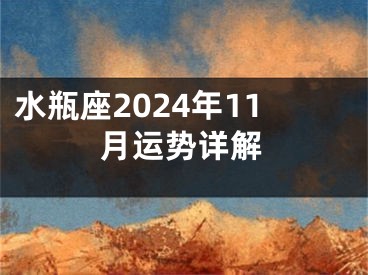 水瓶座2024年11月运势详解
