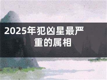 2025年犯凶星最严重的属相