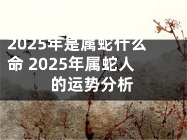 2025年是属蛇什么命 2025年属蛇人的运势分析