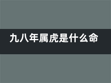 九八年属虎是什么命